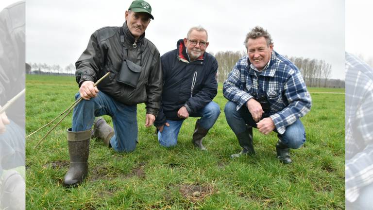 De drie vinders van het eerste kievitsei in Brabant (foto: Jochem Sloothaak, Brabants Landschap).