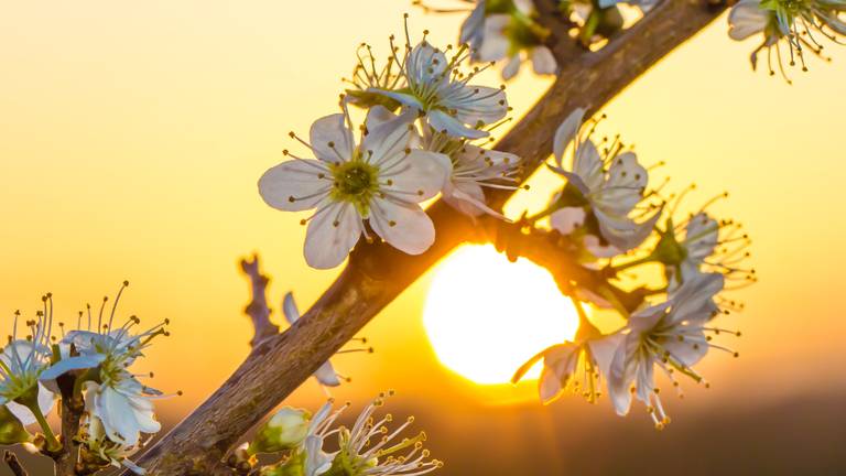 De zondag begon koud (foto: Ab Donker)