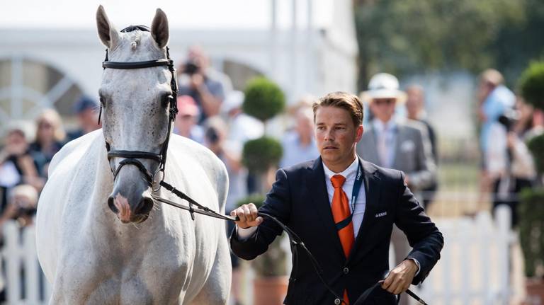 Ruiter Tim Lips met Bayro (foto: Hollandse Hoogte)