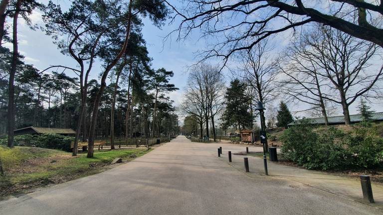 Onwerkelijk, maar waar: lege straat op een doordeweekse dag in Kempervennen (foto: Collin Beijk).