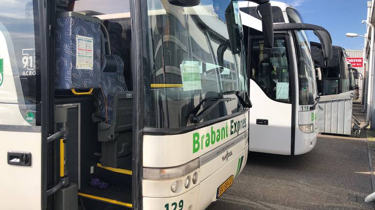 De hele vloot van het busbedrijf in Zevenbergen staat stil (Foto: Erik Peeters)