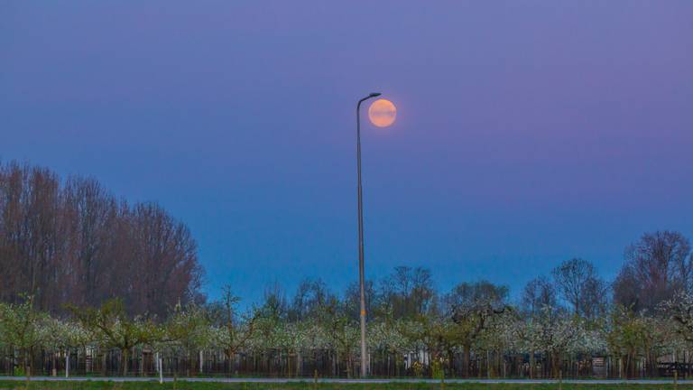 Omroep Brabant