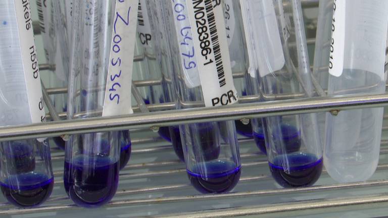 In recordtempo op corona testen: 2000 onderzoeken per dag ...