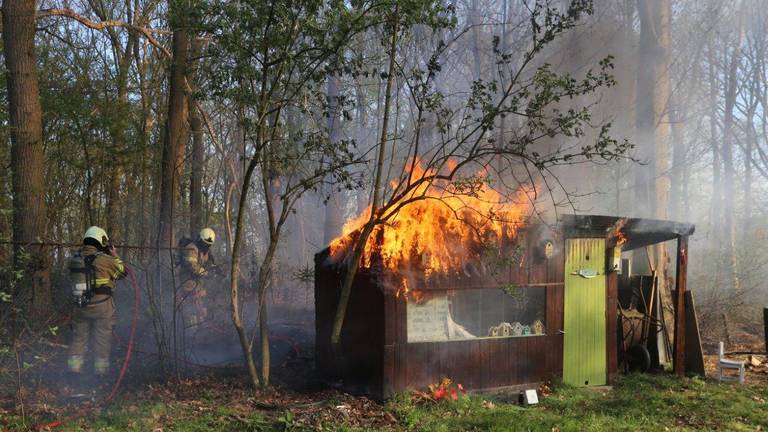 Omroep Brabant