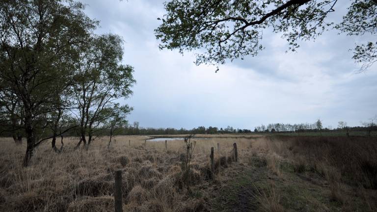 Een zwaarbewolkte lucht bij een koude noordenwind in zuidoosten van Brabant foto: Ben Saanen).