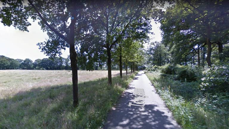 Het dier werd gevonden door een wandelend gezin bij landgoed Tongelaar in Mill (foto: Google Streetview).