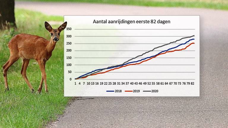 Een overzicht van het aantal verkeersdoden onder dieren (bron; SMAF).