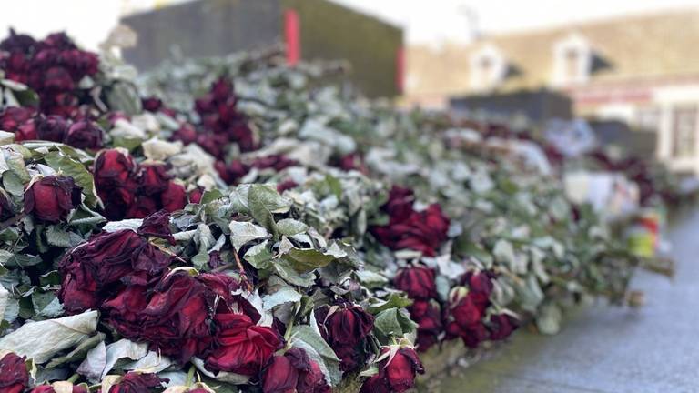 De bloemenzee voor het aantal hoge coronadoden in Erp is nog altijd imponerend, maar begint langzaamaan te verwelken.