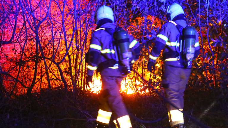 De brandweer kon de eerste brandstichting van de pyromaan snel blussen (foto: Gabor Heeres/SQ Vision)