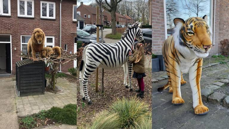 Op safari in Oosterhout.