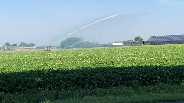 Beregenen mag weer (foto: Hans Janssen).