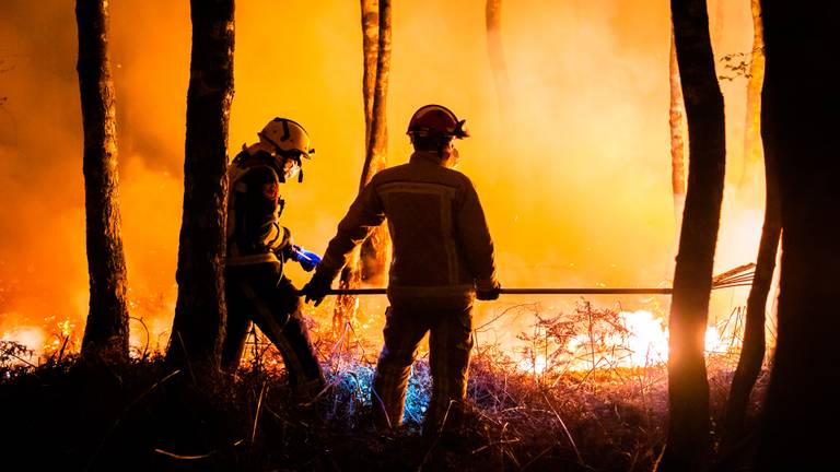 Brandweerlieden aan het werk in de Peel.