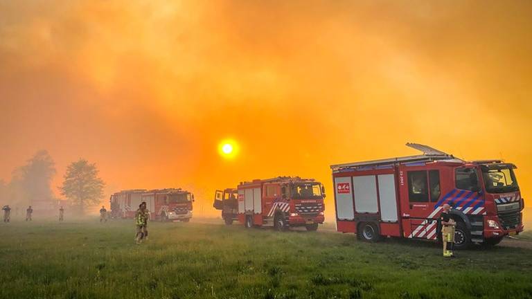 Foto: Sem van Rijssel/SQ Vision