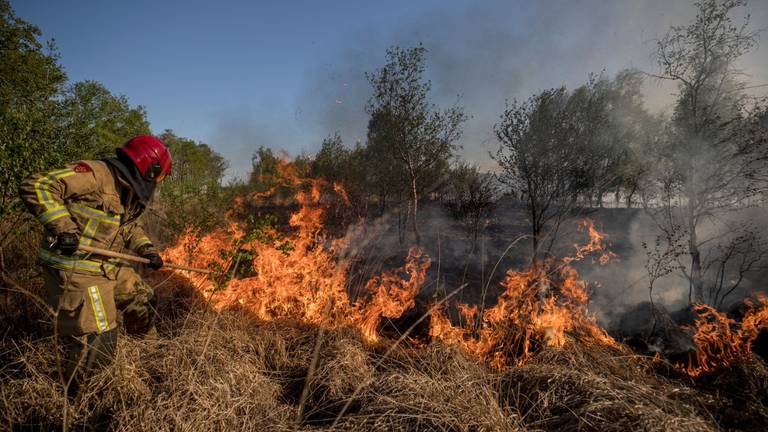 Foto uit het boek over de grootste natuurbrand in Nederland. (Foto: Defensie)