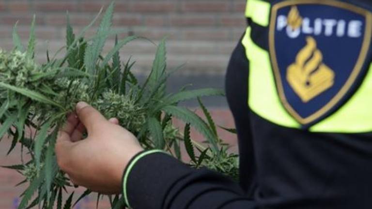 De woning stond vol met bakken gevuld met potgrond. (Foto: Politie)