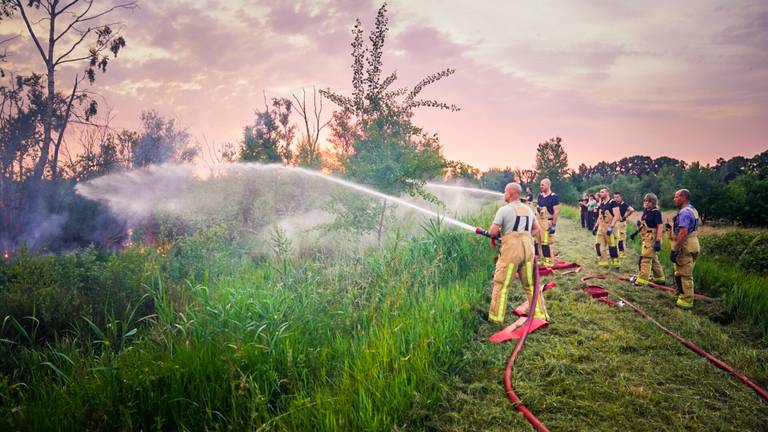 De brandweer aan het werk in de Peel (foto: Sem van Rijssel/SQ Vision).