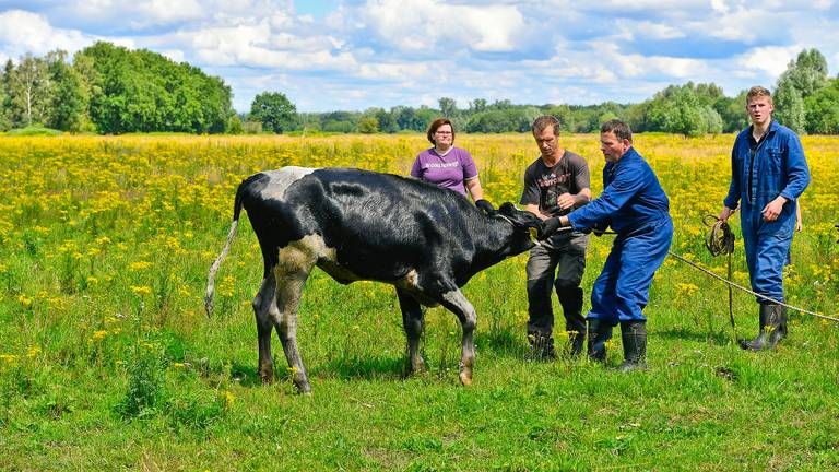 Omroep Brabant