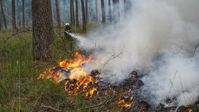 Foto: Jeroen Stuve/SQ Vision