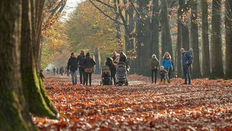 Drukte in het Mastbos in Breda (foto: Tom van der Put/SQ Vision)
