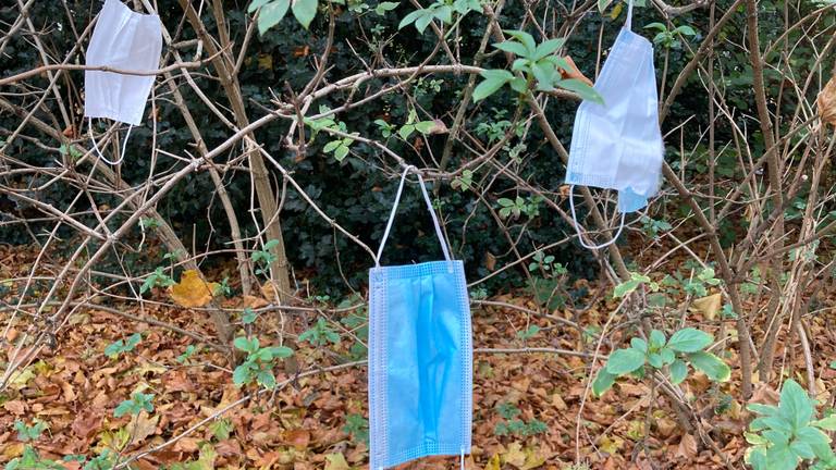 Voorbijgangers hangen hun mondkapje massaal in de boom. (Foto:Arianne de Jong)