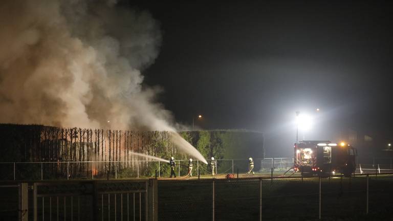 Foto: Christian Traets/SQ Vision