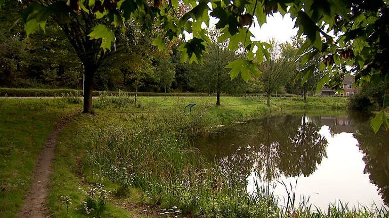 De plek waar de vrouw werd aangevallen in Roosendaal (Beeld: Politie / Opsporing Verzocht).