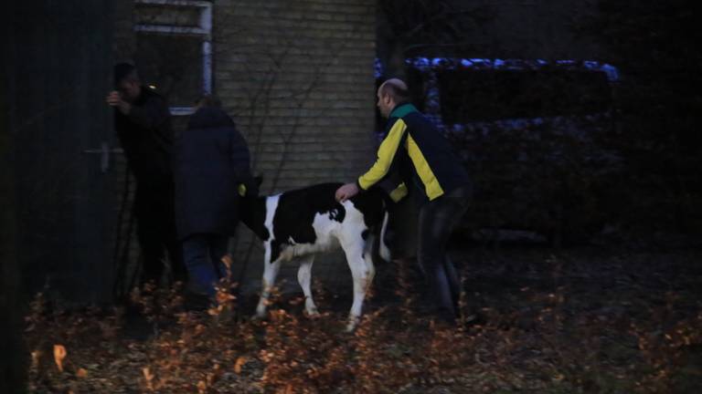Omroep Brabant