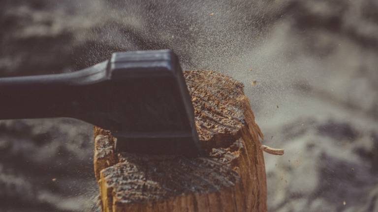 Foto: Pexels.