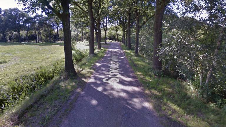 De golden retriever werd aangevallen op de Schoutse Vennen in Nuenen (beeld: Google Maps).