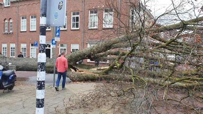 Omroep Brabant