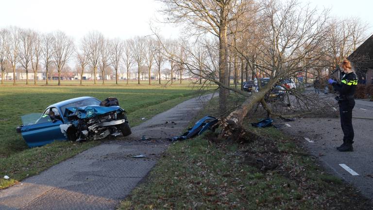 Een boom en een lantaarnpaal, die onder de boom ligt, verder uit de grond gereden. Foto: Marco van den Broek/SQ Vision.