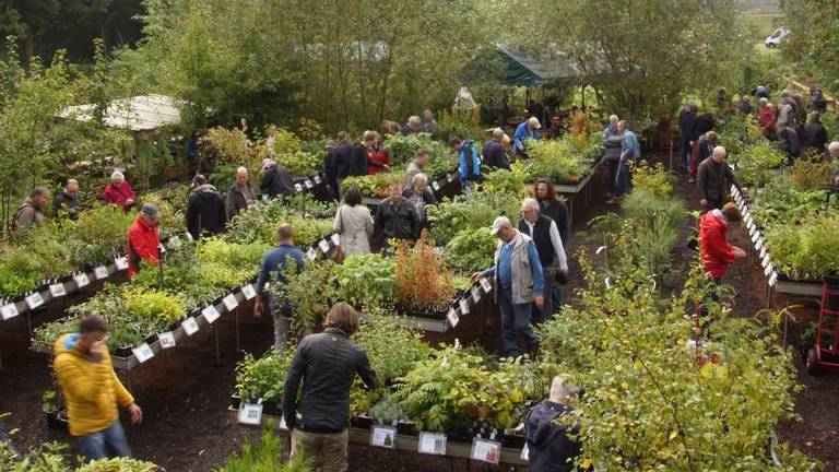 lezing verdieping verantwoordelijkheid Bijzondere kwekerij komt door coronacrisis niet van planten af - Omroep  Brabant