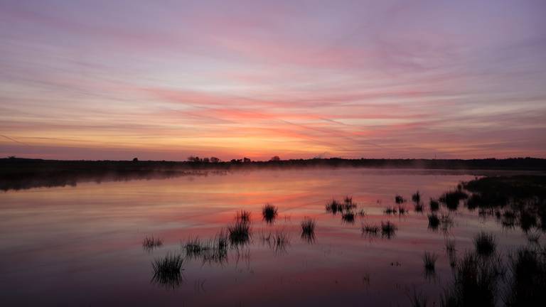 Omroep Brabant