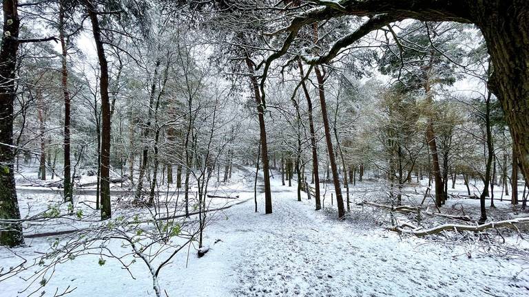 Omroep Brabant