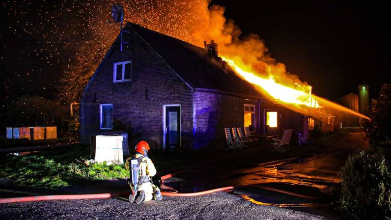 (Foto: Harrie Grijseels/SQ Vision).