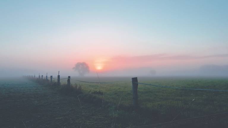 Waarschuwing voor mist (Archieffoto: Pexels).