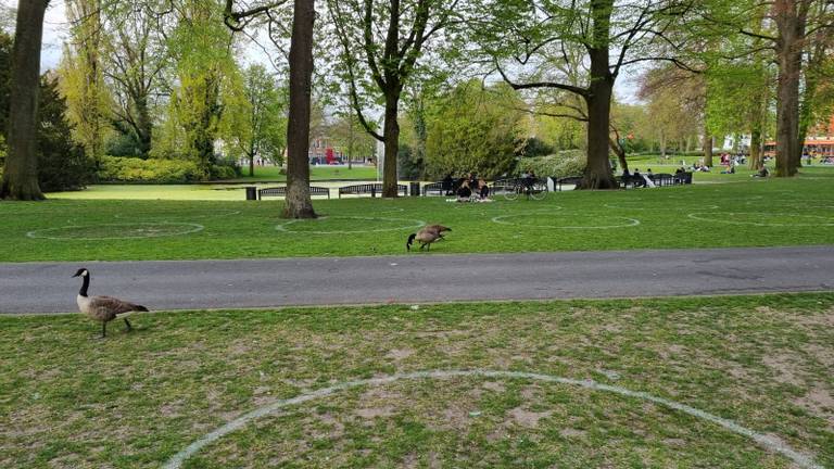 Het is rustig in het park (foto: Omroep Brabant).