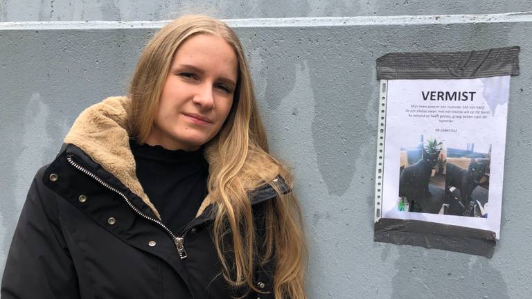 Lotte hoopt dat ze haar poezen snel terugziet.