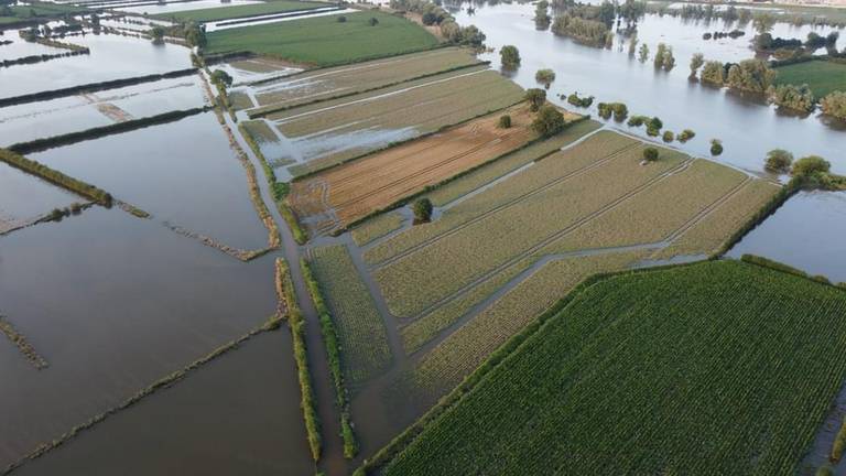 Boeren hebben miljoenen euro's schade door overstromingen