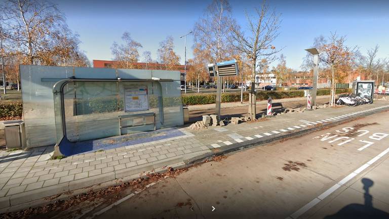 De man betastte zichzelf voor de ogen van het meisje (foto: Google Streetview).