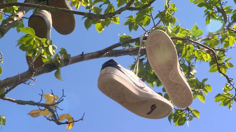 Boom bij skatepark hangt bomvol schoenen, skaters leggen uit waarom