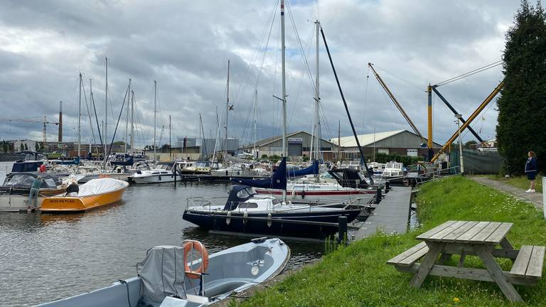 Havenmeester Inge van Ekelen kijkt uit over de Bergse jachthaven