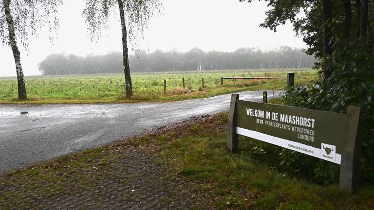 Foto: Staatsbosbeheer