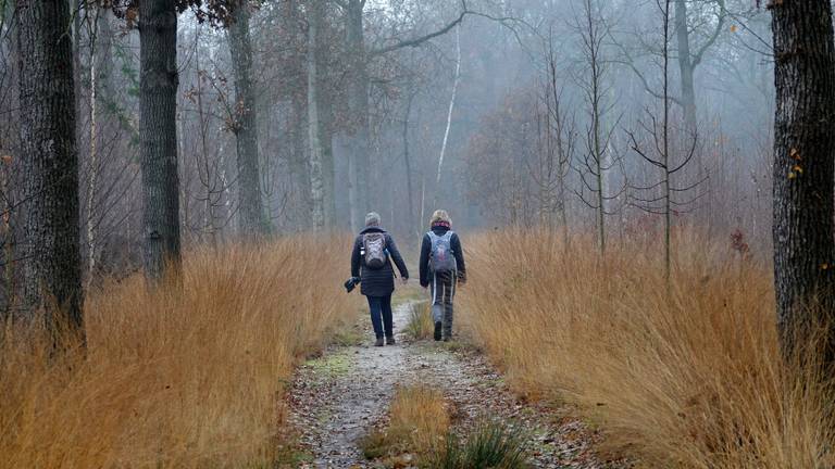 Vandaag was het al kil en grijs in Budel. Foto: Ben Saanen.
