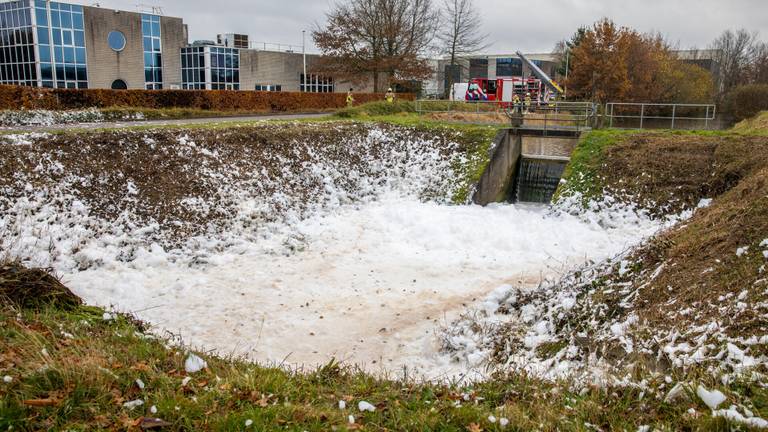 Waar het schuim vandaan komt, is nog een groot raadsel (foto: SQ Vision/Christian Traets).