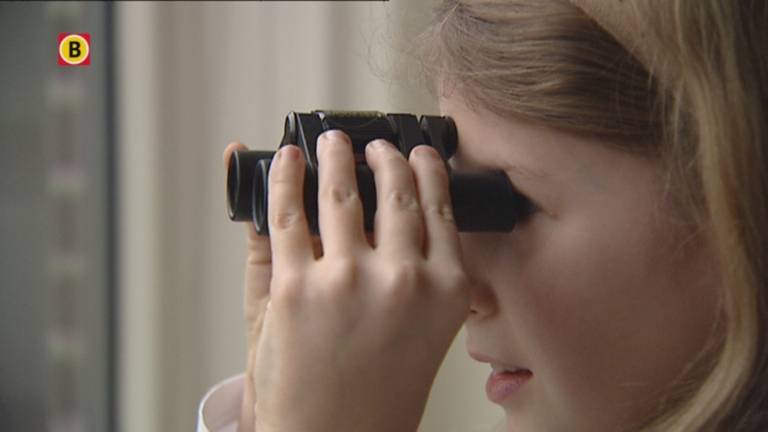 Katelyn telt vogels bij Nationale Tuinvogeltelling