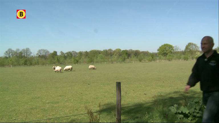 Waarschijnlijk druk weekend Pasen dankzij mooie weer