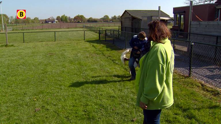 Martin Gaus Hondenschool Moerstraten: "Hondenaanval Schijndel had voorkomen kunnen worden"