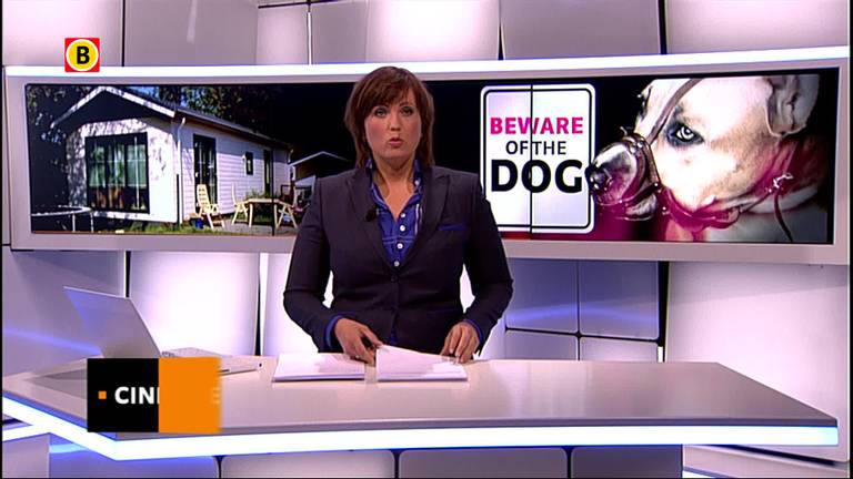 Vrienden van familie hondendrama Schijndel: ‘Verhalen zijn opgeblazen en kloppen niet’