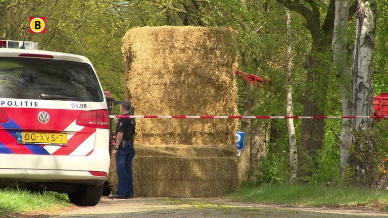 Dode door strobalen Klein-Zundert